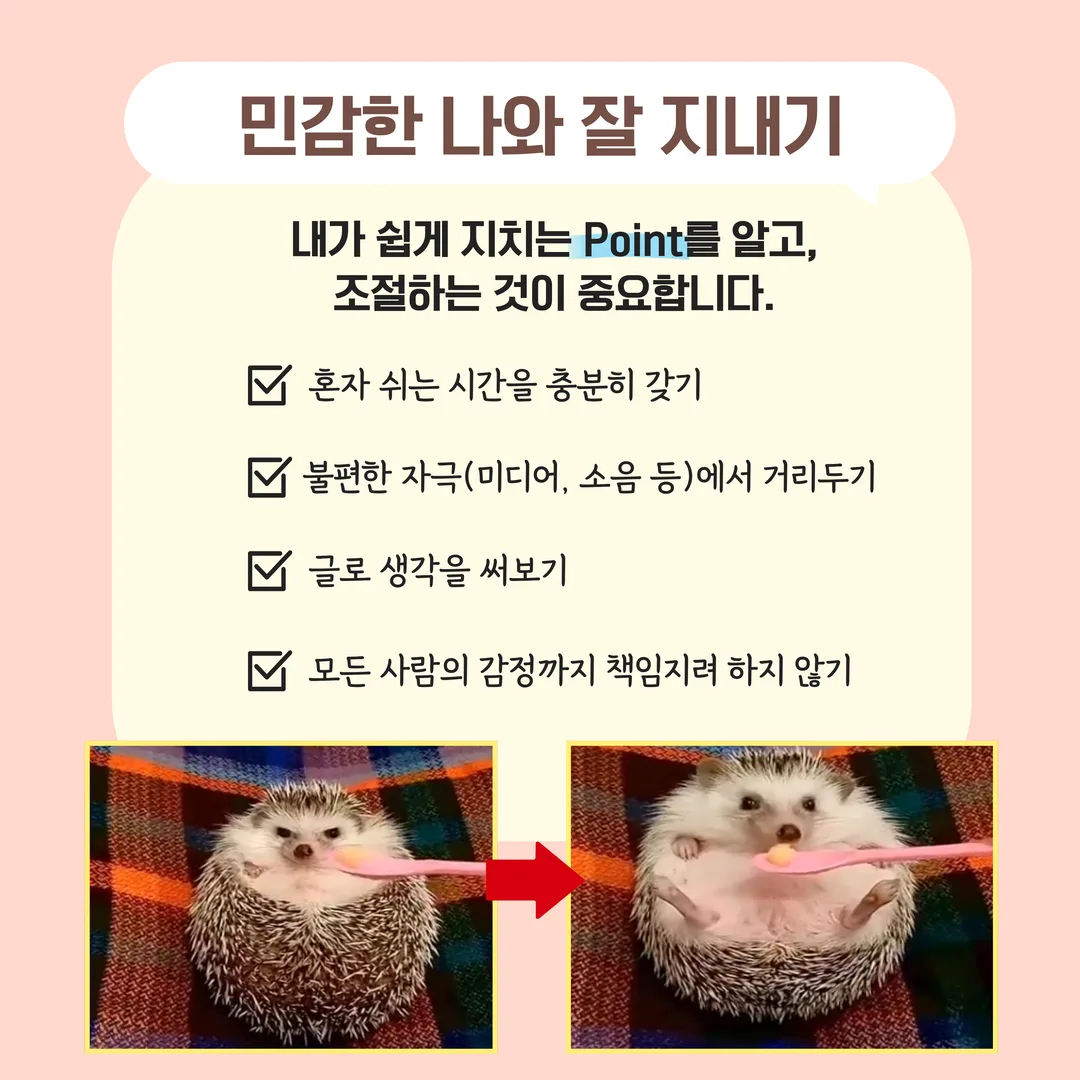 민감한 나와 잘 지내기 - 내가 쉽게 지치는 Point를 알고 조절하는 것이 중요합니다